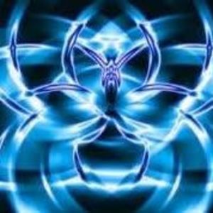 Meet your Posher, Angelo remy